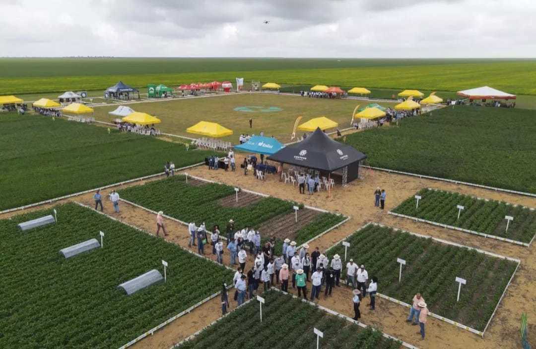 ‘Dia de Campo 2023’ da Fazenda Progresso no Piauí já tem data definida