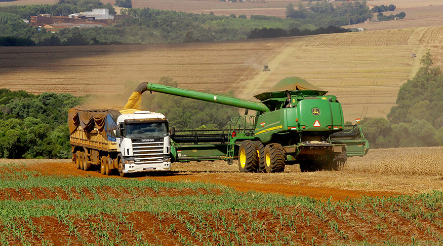 USDA divulga nesta quinta-feira as Vendas semanais de Exportação de grãos dos EUA
