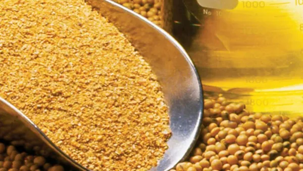 Farelo de soja se valoriza no Brasil e procura externa pelo derivado nacional pode aumentar
