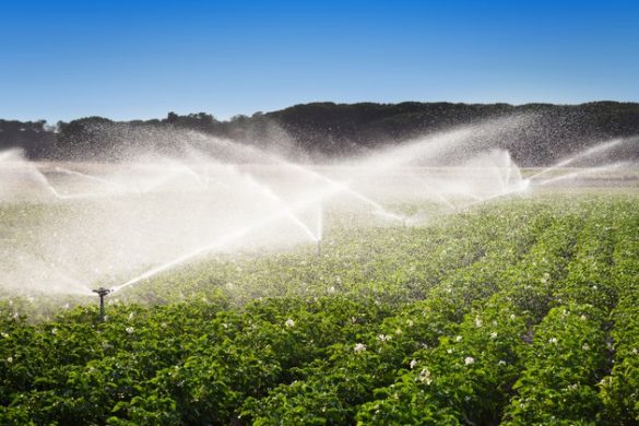 Piauí desconto de 90% para produtores rurais que desenvolvem atividades de irrigação e aquicultura