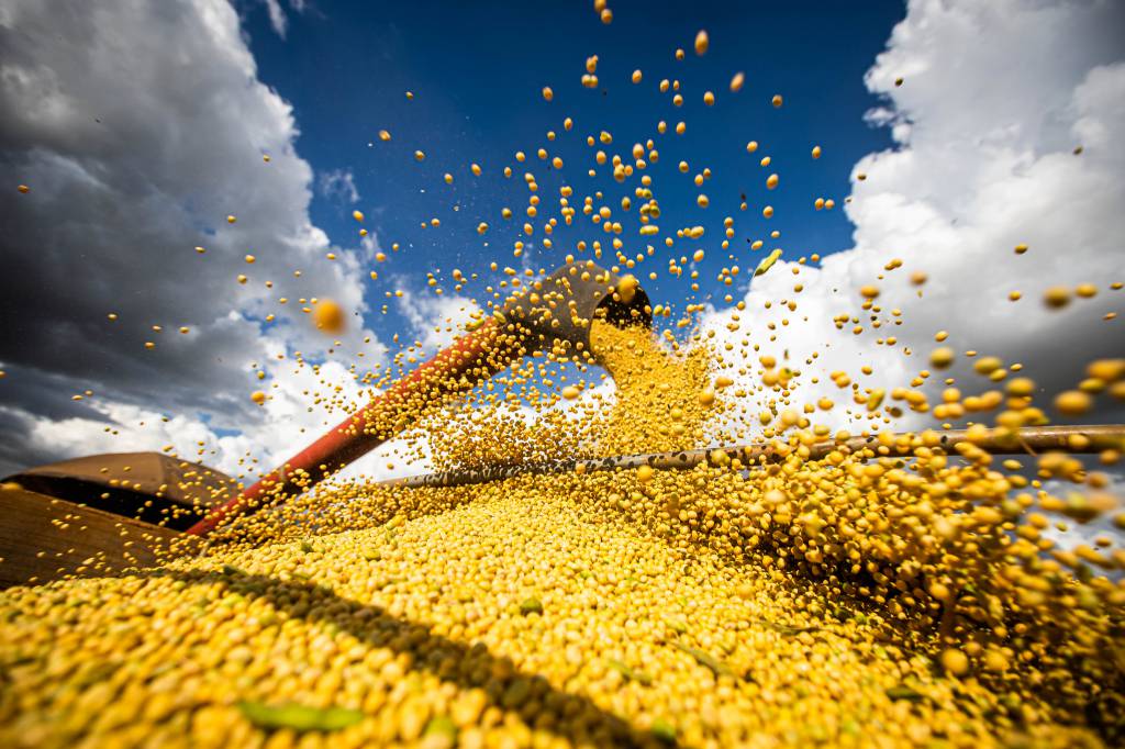 Bahia tem a maior produtividade de soja do Brasil, segundo a Conab