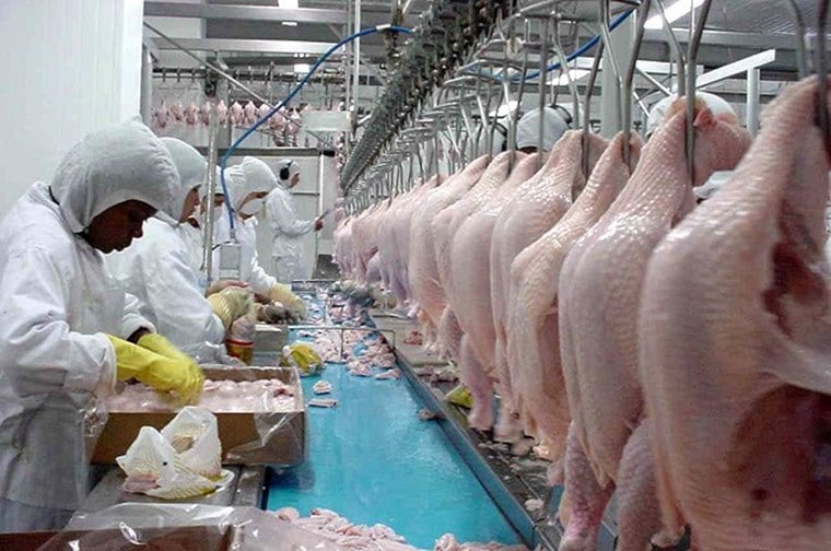 Preços da carne de frango se recuperam, mas alta é moderada