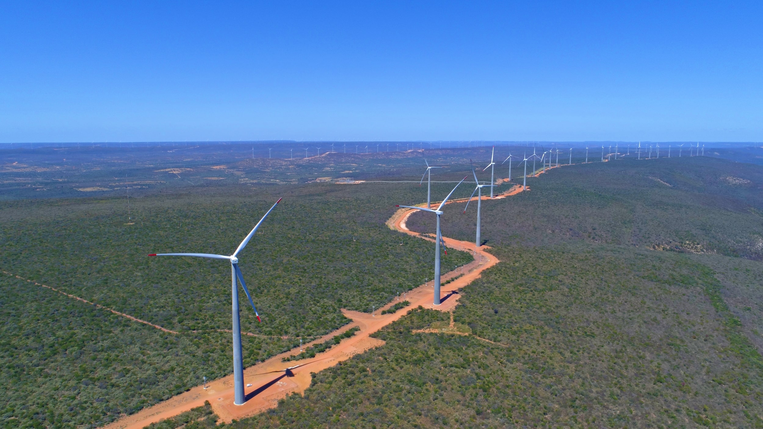 Piauí é o estado com maior crescimento na geração de energia eólica; quase 25%