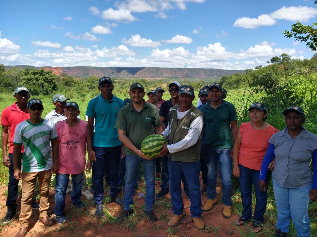 PI: produtores de melancia melhoram produção com chegada de técnico