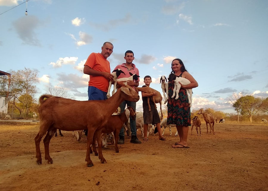 Transição agroecológica traz melhorias econômicas e sociais para produtores