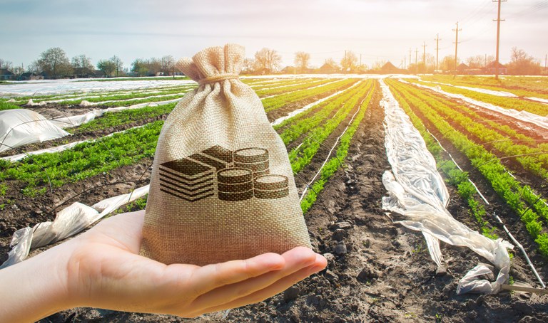 Boletim revela aumento das finanças privadas no setor agropecuário