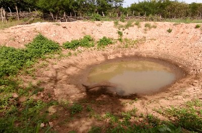 Codevasf realiza ações de recuperação em áreas degradadas do semiárido piauiense