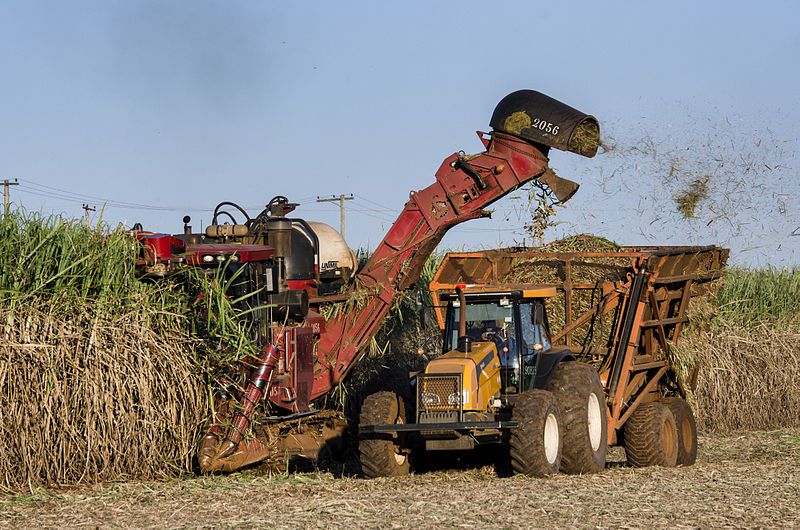 Premiação Destaca Líderes na Produtividade de Cana-de-Açúcar no Brasil