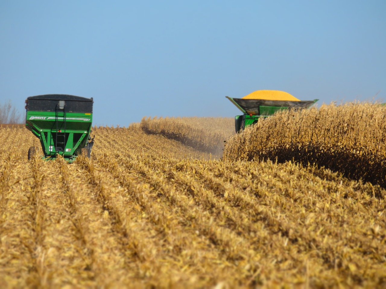 Setor agropecuário impulsiona crescimento econômico no Brasil