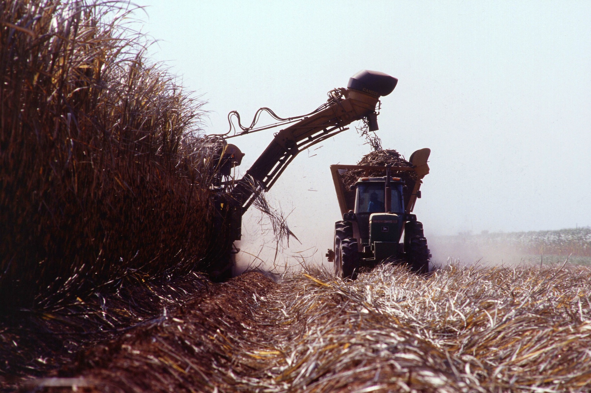 Projeto Brazil Sugarcane promove rodada de negócios internacional na abertura de safra cana, açúcar e etanol