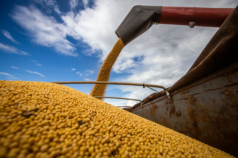 Produção de soja no Brasil pode ser menor que esperado, segundo a ABIOVE