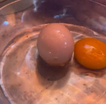 Galinha põe ovo dentro de outro ovo e viraliza no TikTok