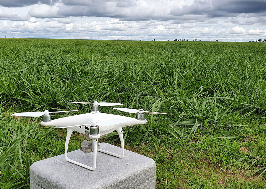 Drones proporcionam 66% de precisão no monitoramento do pasto