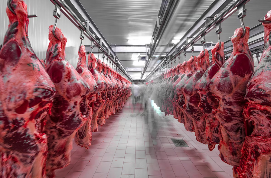 Novos frigoríficos paranaenses são autorizados a exportar carne para china