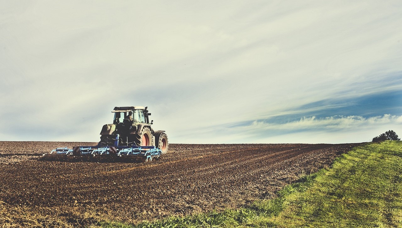 Valor da Produção Agropecuária é atualizado para R$ 1,142 trilhão este ano