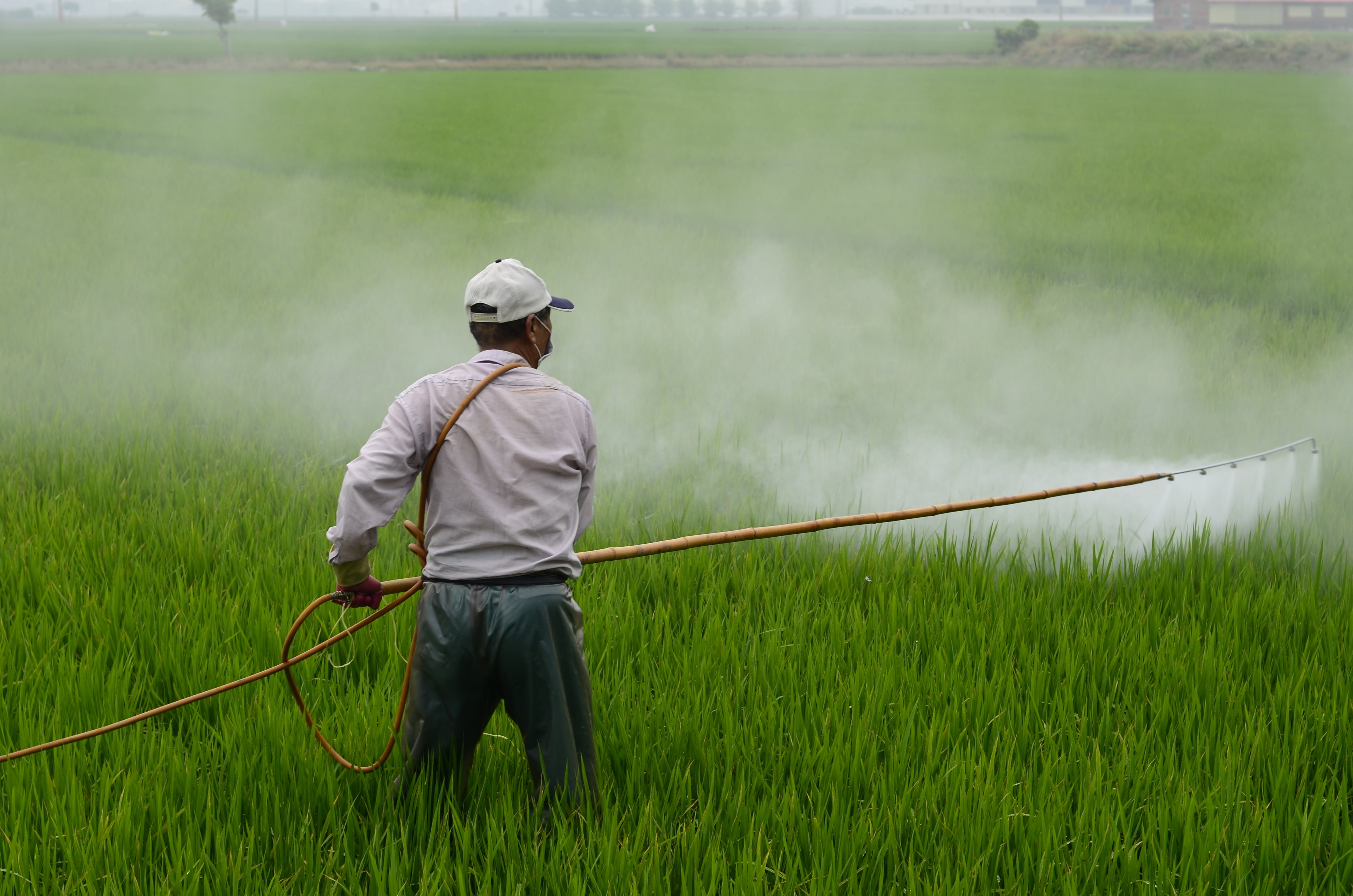 Ministério da Agricultura registra 55 defensivos agrícolas, incluindo produtos biológicos