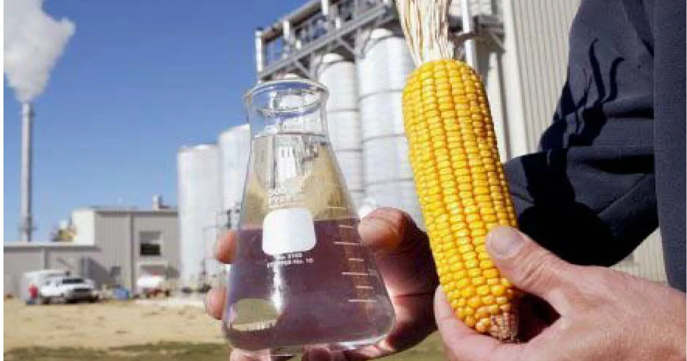 Indústria de etanol de milho gera material com alto valor agregado de forma sustentável