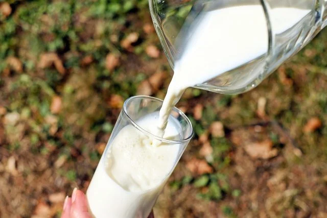 Casal aumenta produção de leite de 16 para 190 litros por dia