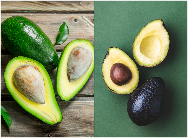 Entenda a diferença entre avocado e abacate: explorando duas variedades nutritivas e deliciosas
