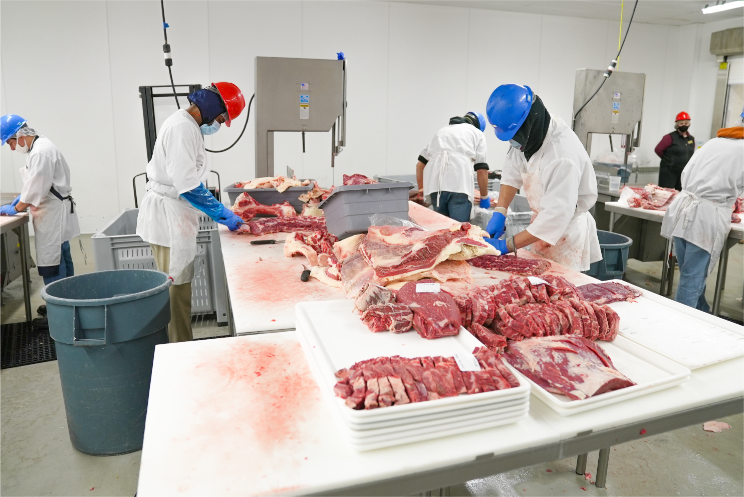 Tendências no mercado de carne bovina
