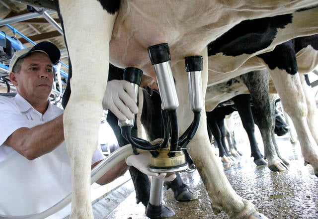 Preço do leite para produtores registra terceiro mês consecutivo de alta
