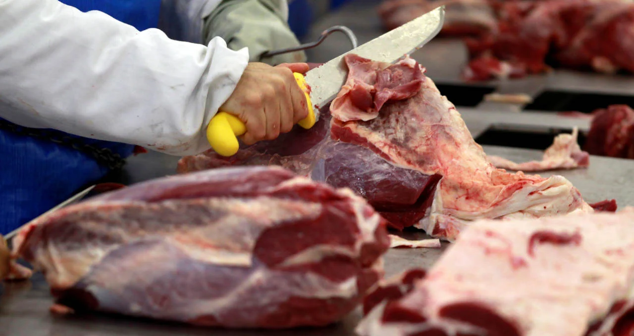 Pecuaristas limitam oferta de bovinos, enquanto frigoríficos mantêm compras moderadas