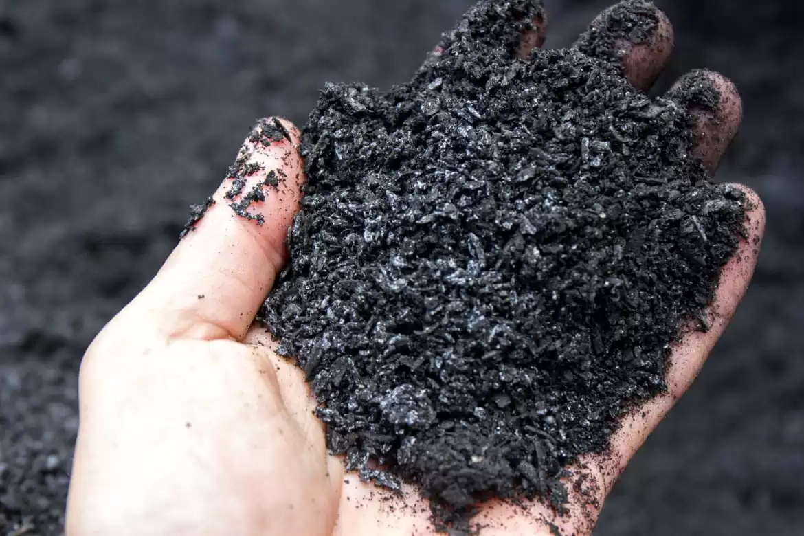 Biocarvão de resíduos da cadeia de café melhora solo e reduz metais pesados, revela estudo