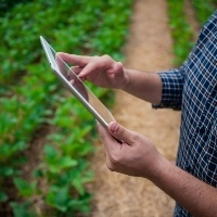 Declaração do Imposto Territorial Rural acaba sexta-feira!