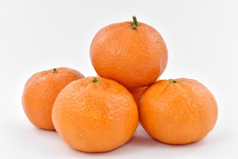 Desaceleração no escoamento de laranjas devido às condições climáticas não afeta preços