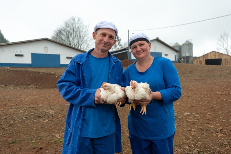Dia do Avicultor: Biosseguridade é a chave para a expansão internacional da avicultura brasileira