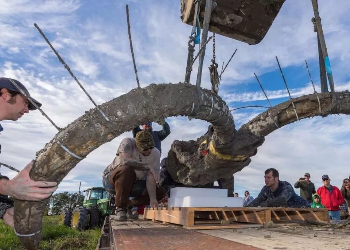 Agricultores brasileiros encontram esqueleto completo de Mamute de 15 mil anos
