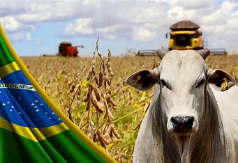 Forbes Agro100 2022: As Gigantes do Agronegócio Brasileiro em Destaque