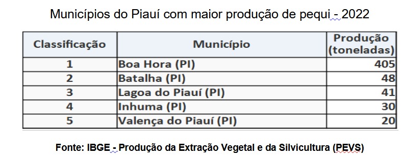 Piauí surpreende com crescimento exponencial na produção de alimentos vegetais