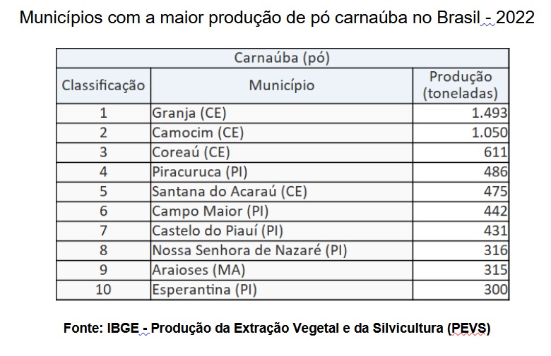 Piauí lidera a produção de pó de carnaúba e se destaca no cenário nacional