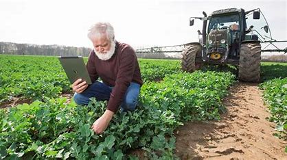 Setor agropecuário brasileiro surpreende e supera expectativas em 2023, impulsionando a economia do país