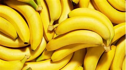 Estado é destaque na produção de bananas com 26% do total