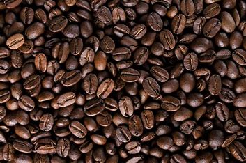 Alerta para irregularidades na safra de café: clima e temperaturas instáveis são motivo de preocupação