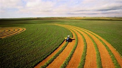 A revolução do campo: Blockchain revoluciona o agronegócio com rastreabilidade por QR Code