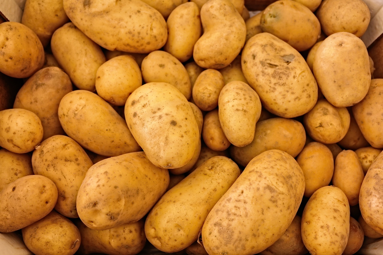 Preços da batata apresentam queda nos atacados