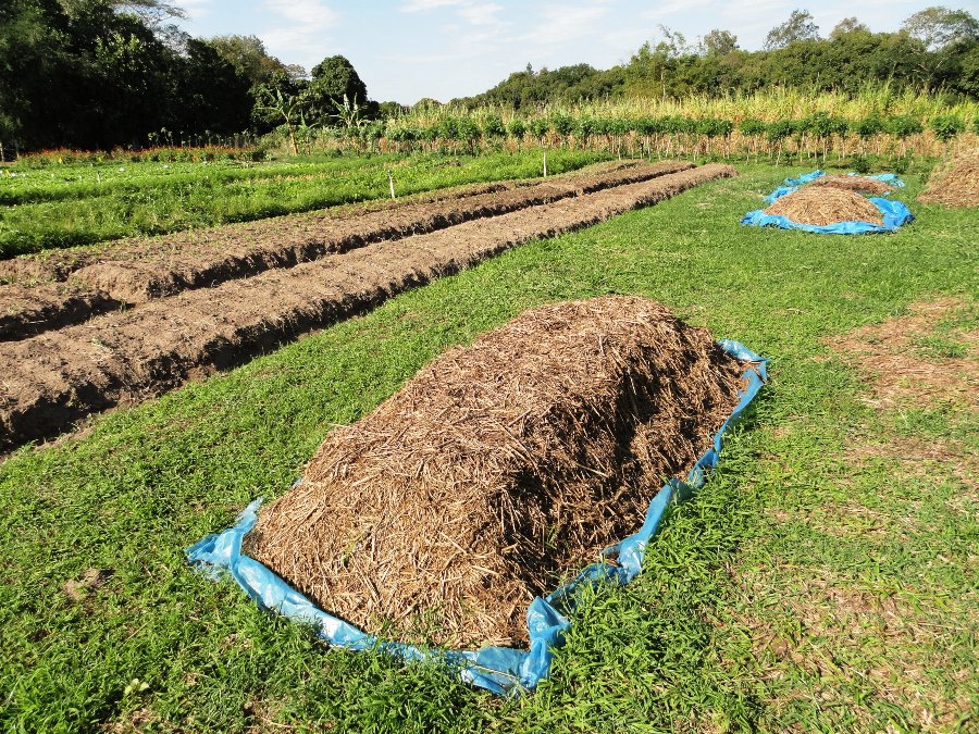 Embrapa oferece curso de compostagem online para mais de 6 mil inscritos em 2023