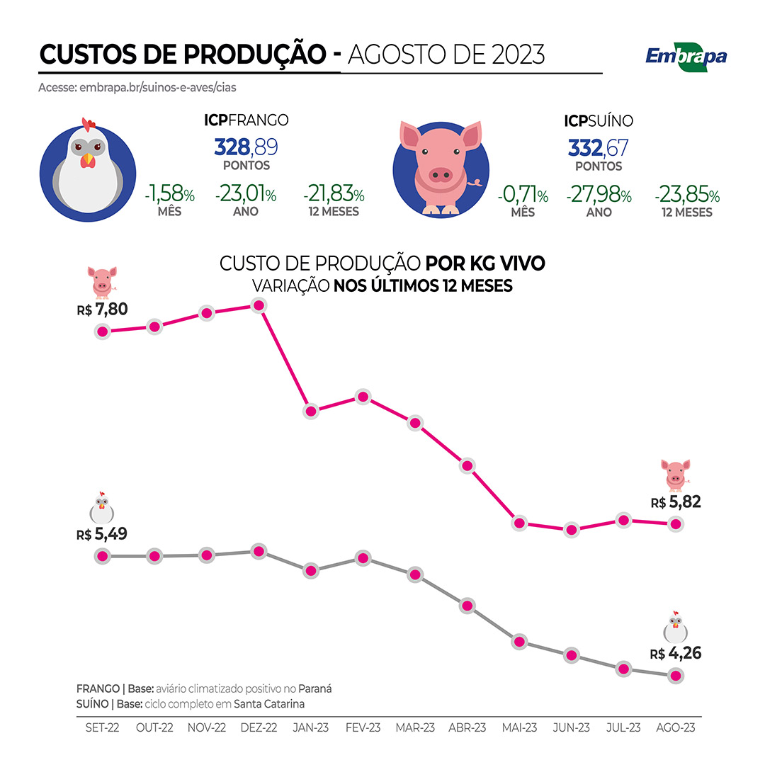 Custos de produção de frangos e suínos têm redução em agosto