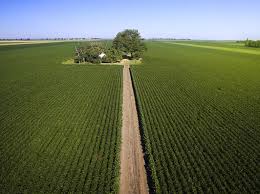 APSUL América revoluciona o agronegócio com inovação e tecnologia de ponta