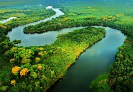 BID e BB investem US$250 mi na bioeconomia da Amazônia Legal