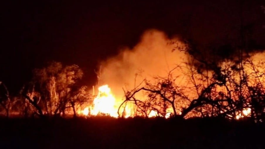 Inteligência artificial ‘treina’ para detectar incêndios no campo