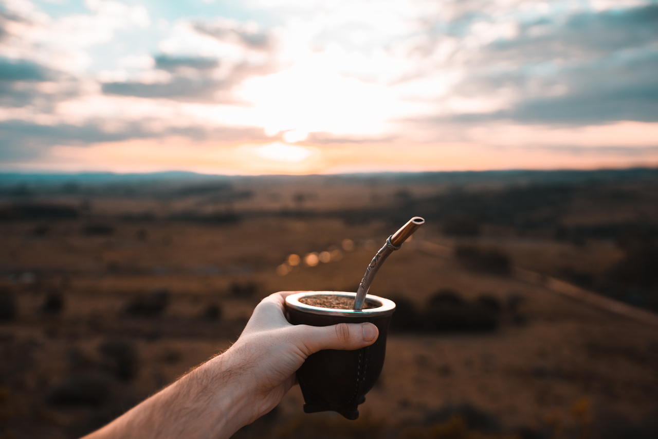 Prêmio Orgulho da Terra valoriza a produção de erva-mate no Paraná