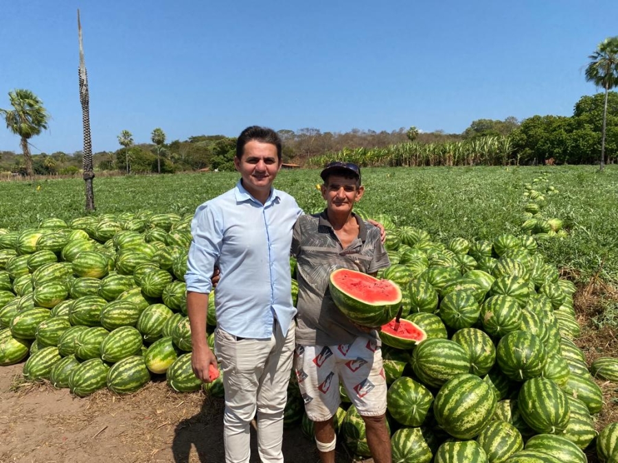 Jatobá do Piauí produz safra recorde de mais de 1 milhão de kg de melancia em 2023