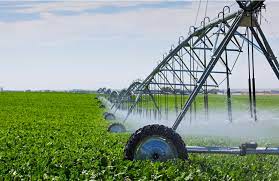 Agência de fomento do RS é destaque nacional em financiamento para agricultura irrigada, conquistando o topo do ranking BNDES