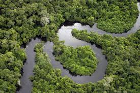 ApexBrasil lança Programa Exporta Mais Amazônia
