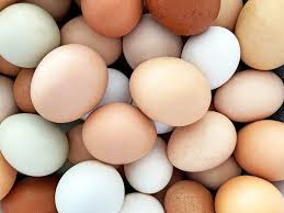 Associação Gaúcha de Avicultura (Asgav) e o Programa Ovos