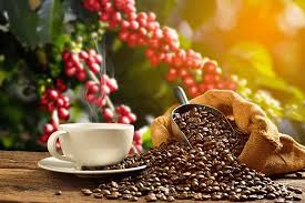 Cafeicultores e operadores divergem sobre os fundamentos do mercado de café: qual será o futuro dessa commodity?